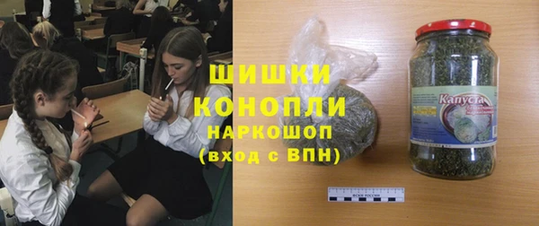шишки Богданович