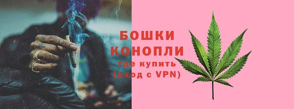шишки Богданович
