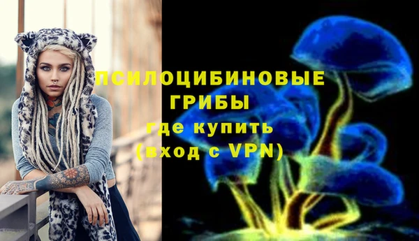 PSILOCYBIN Богородск