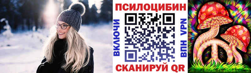 Псилоцибиновые грибы мицелий Самара